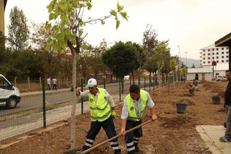 Millet bahçesi’ne 2 bin ağaç dikilecek