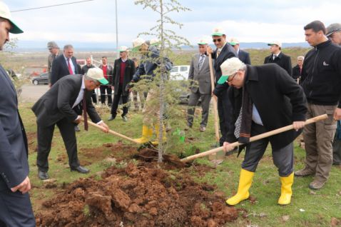 Vali ve başkan, erdoğan için fidan dikti