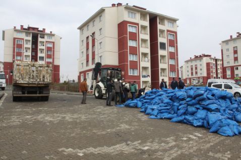 İçmeler’de 64 bin 180 kg kömür toplatıldı